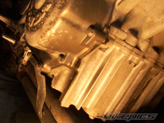 1989 HONDA CBR 250 | Picture 175646 motorcycle photo