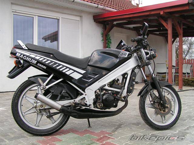 1995 CASAL MAGNUM | Picture 175713 motorcycle photo