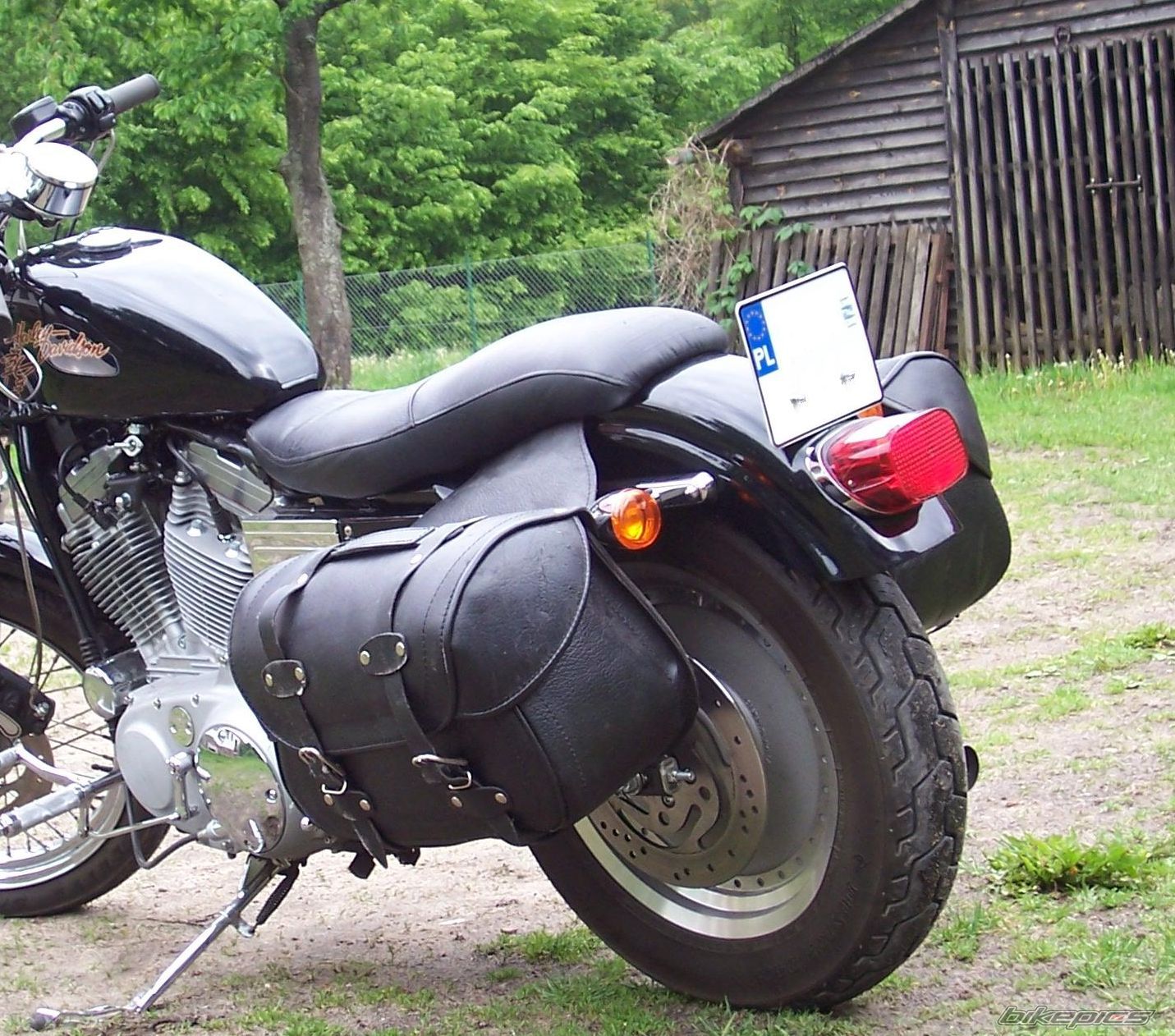 2002 HARLEY DAVIDSON XL 883C | Picture 1757654 motorcycle photo
