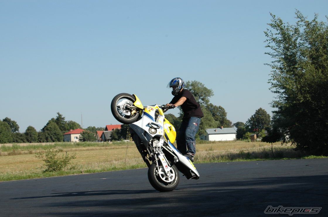 2001 HONDA CBR 600 | Picture 1758139 motorcycle photo