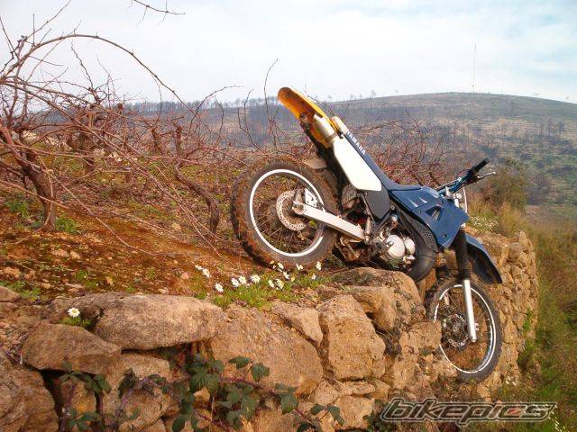 1997 YAMAHA DT 125 | Picture 175825 motorcycle photo