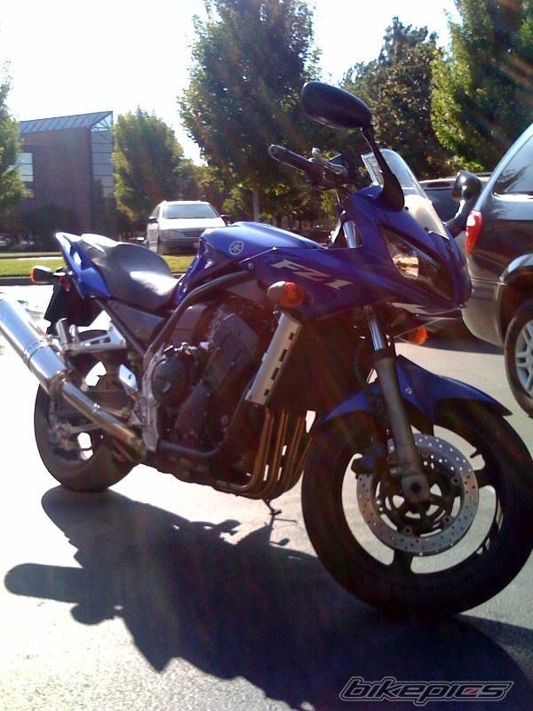 2005 YAMAHA FZ1 NAKED | Picture 1759203 motorcycle photo