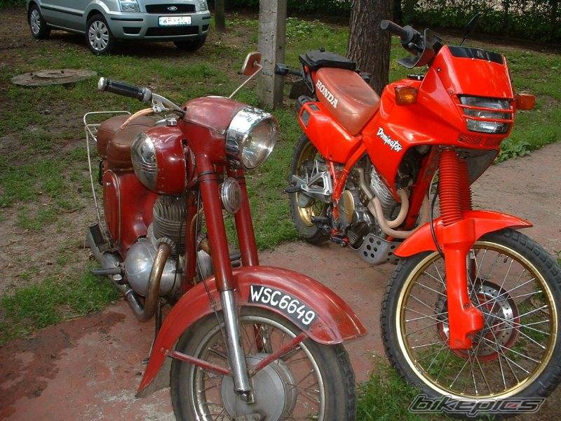 1958 JAWA 250 | Picture 175924 motorcycle photo