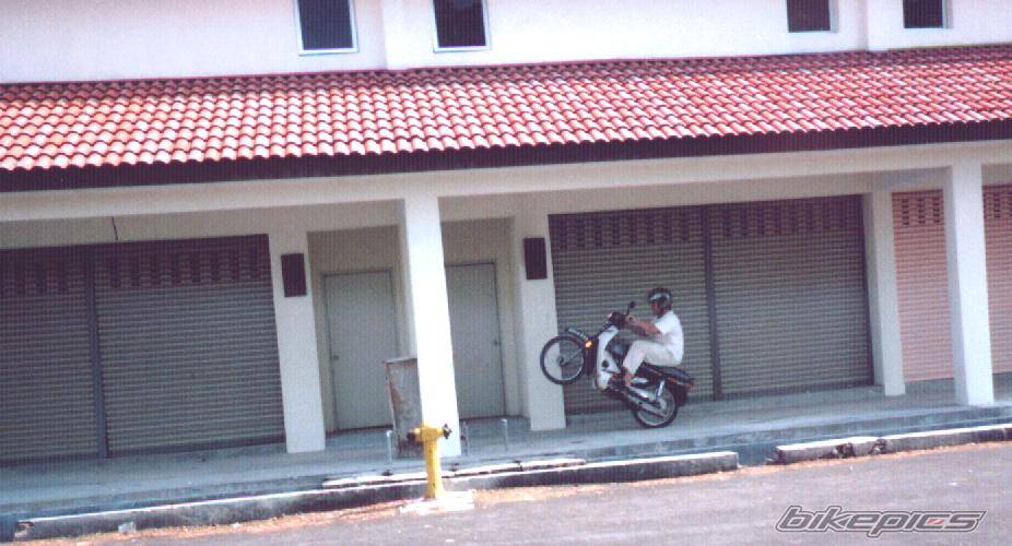 1998 HONDA EX3 C70 | Picture 176016 motorcycle photo