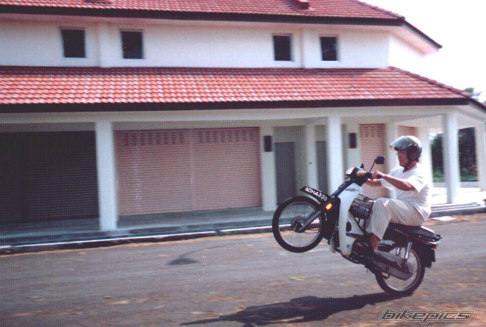 1998 HONDA EX3 C70 | Picture 176023 motorcycle photo