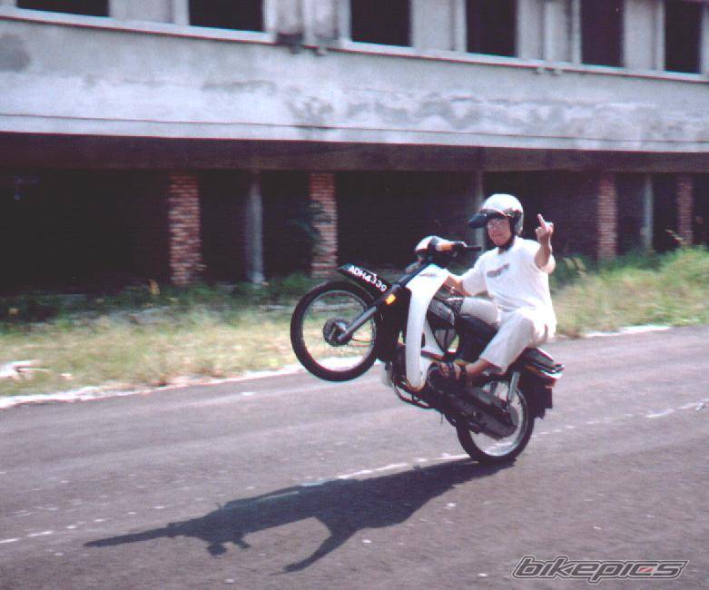 1998 HONDA EX3 C70 | Picture 176034 motorcycle photo