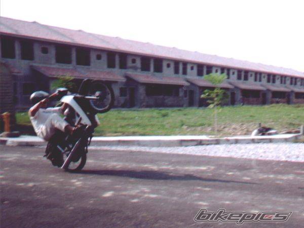 1998 HONDA EX3 C70 | Picture 176045 motorcycle photo