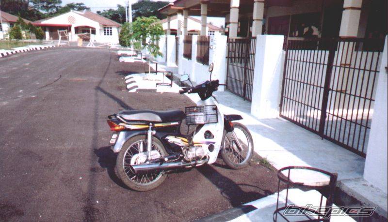1998 HONDA EX3 C70 | Picture 176049 motorcycle photo