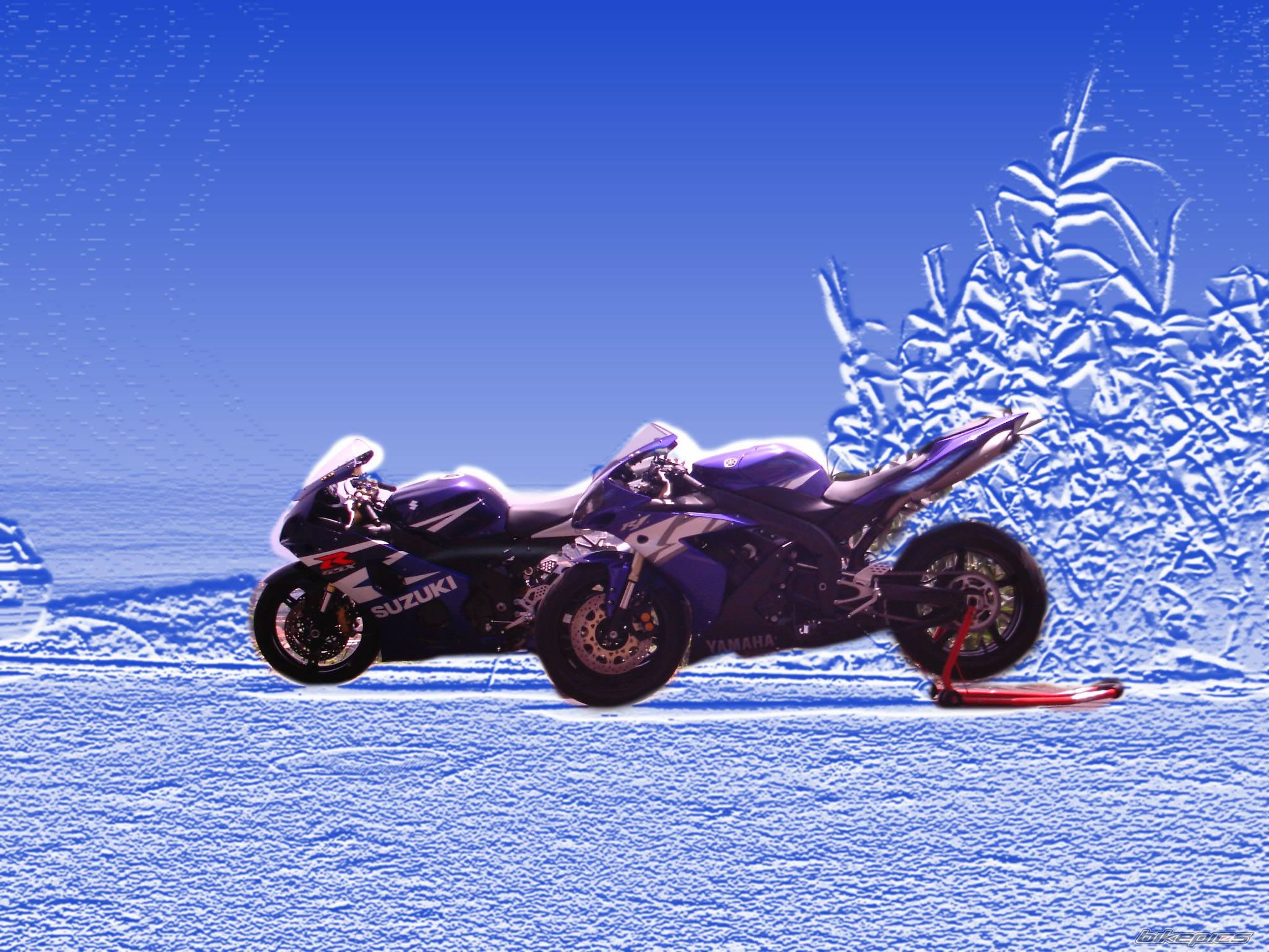 2004 YAMAHA YZF R1 | Picture 176204 motorcycle photo