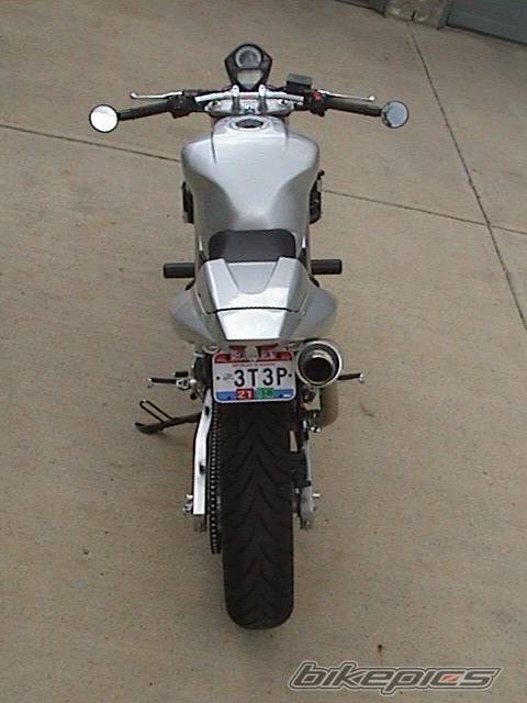 2003 SUZUKI SV 650 | Picture 176259 motorcycle photo