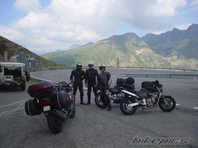 1998 HONDA VFR 800 | Picture 176616 motorcycle photo