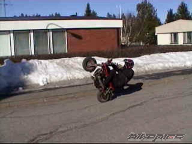 1987 SUZUKI PV 50 | Picture 176617 motorcycle photo