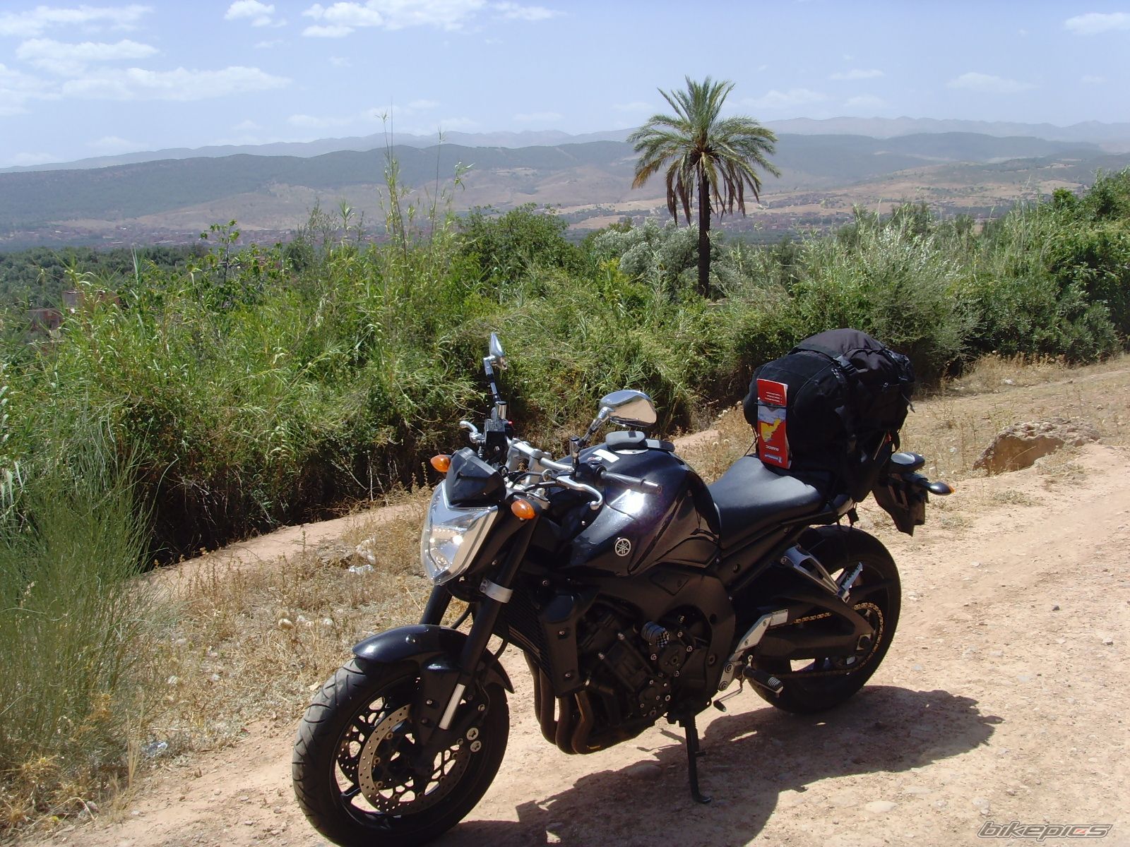2007 YAMAHA FZ 1N | Picture 1769758 motorcycle photo