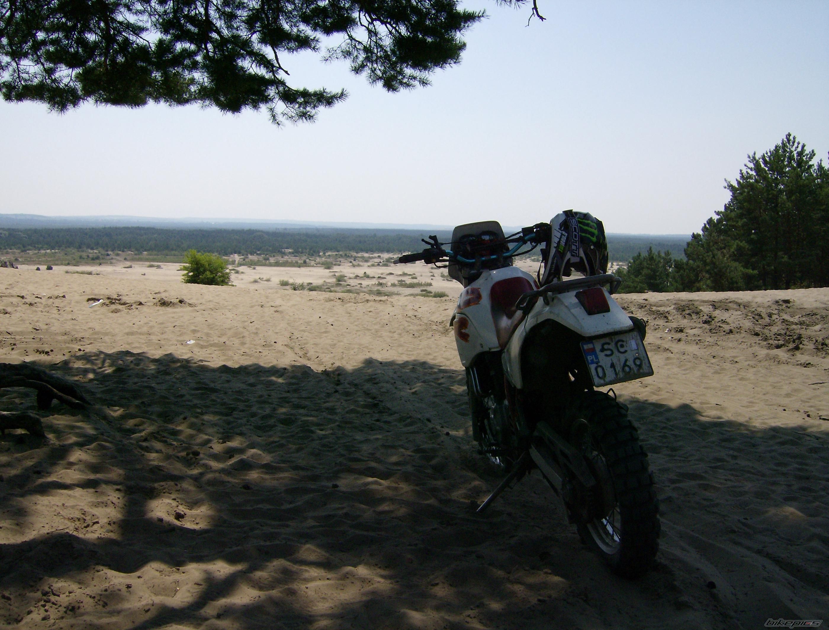 1993 SUZUKI DR 650 | Picture 1769794 motorcycle photo