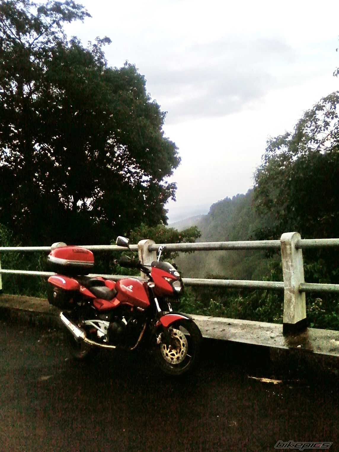 2008 BAJAJ PULSAR 200 | Picture 1769805 motorcycle photo
