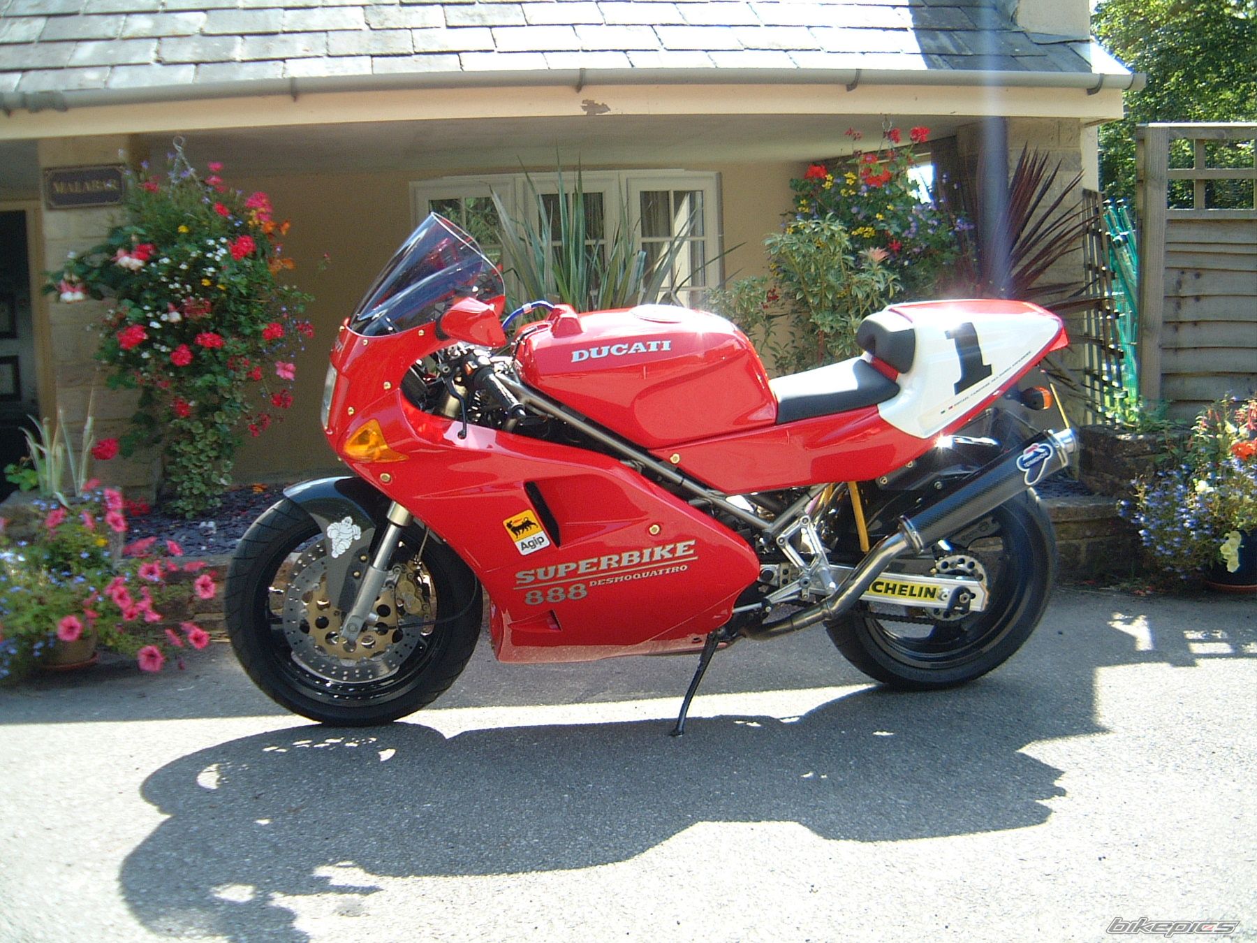 1993 DUCATI 888 | Picture 1770048 motorcycle photo