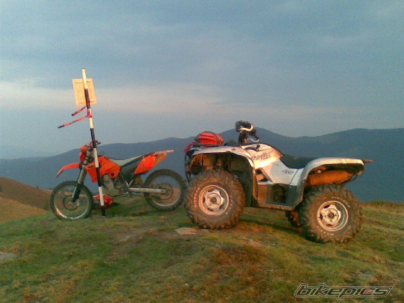 2003 KTM 450 SX | Picture 1770132 motorcycle photo