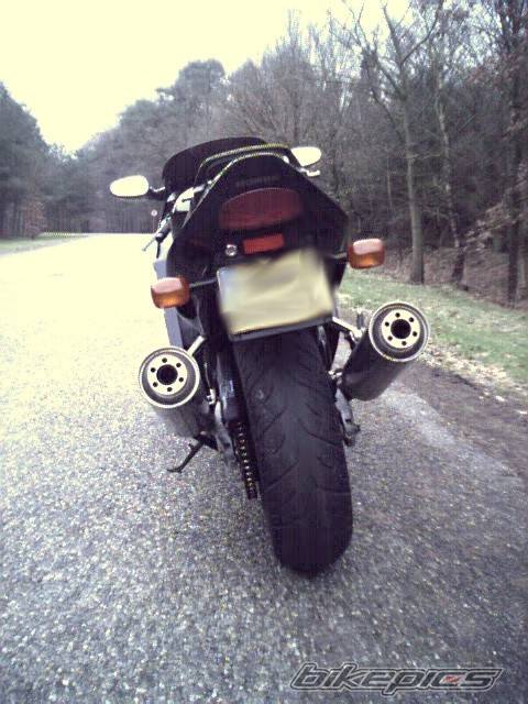 1998 HONDA CBR 1100 BLACKBIRD | Picture 1771 motorcycle photo
