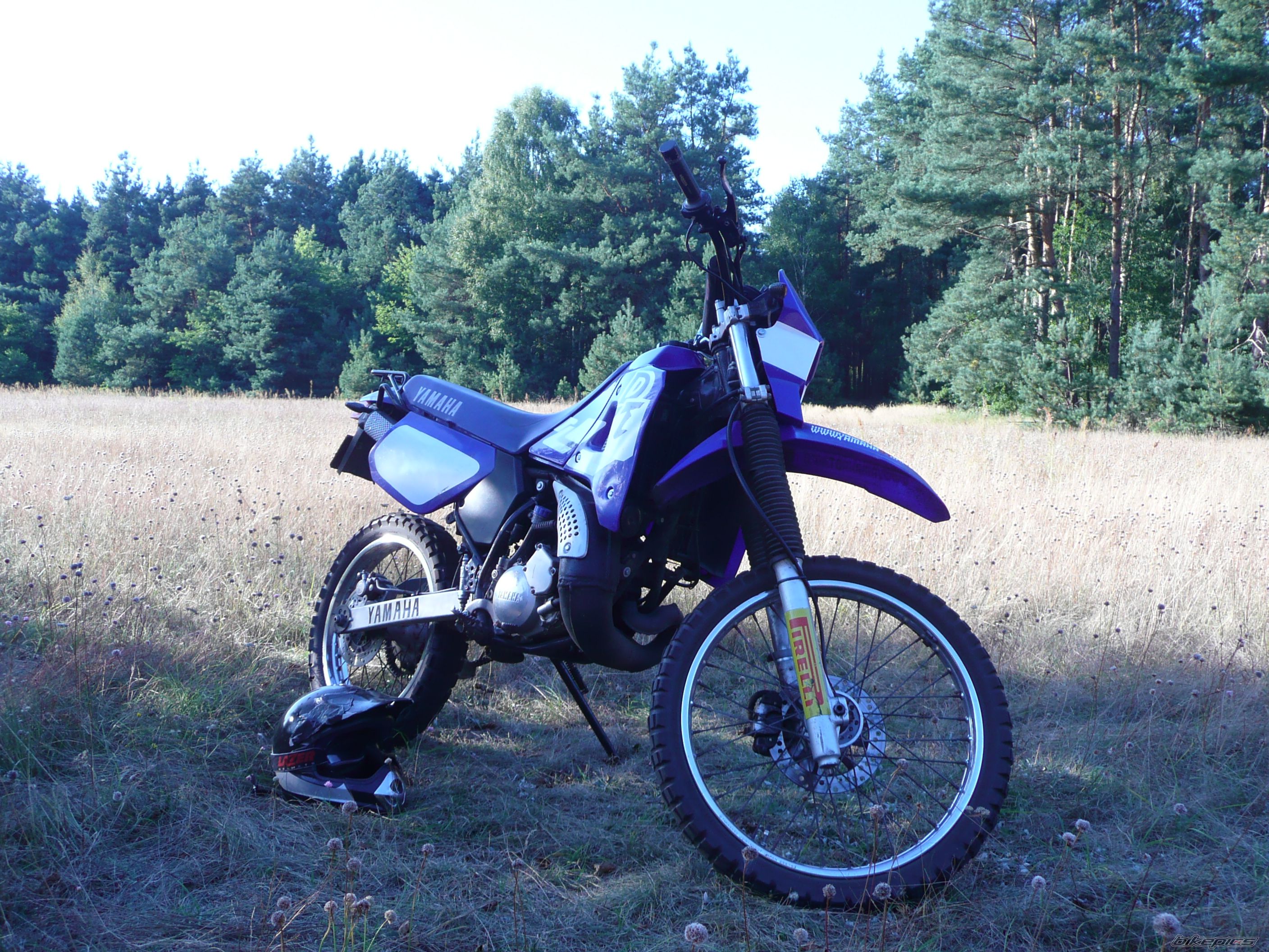 1999 YAMAHA DT 125RE | Picture 1771028 motorcycle photo