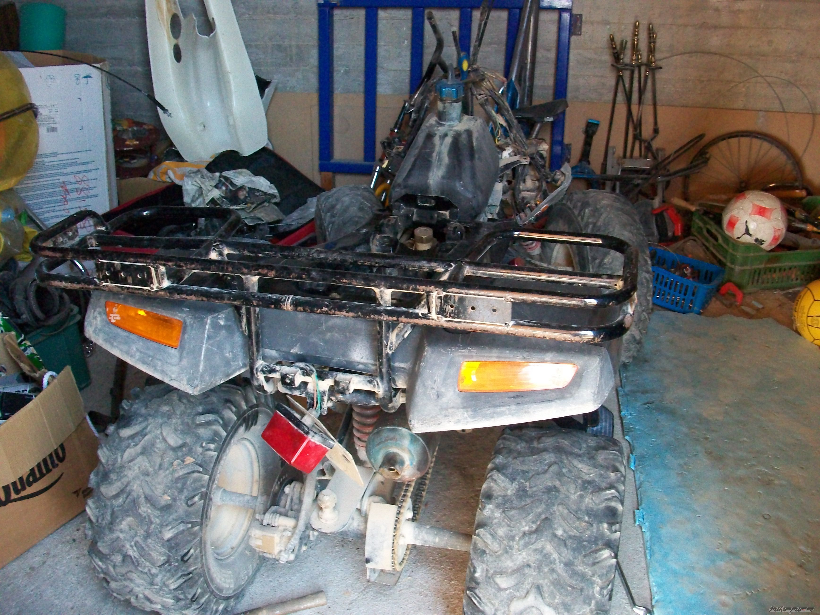    | Picture 1771034 motorcycle photo