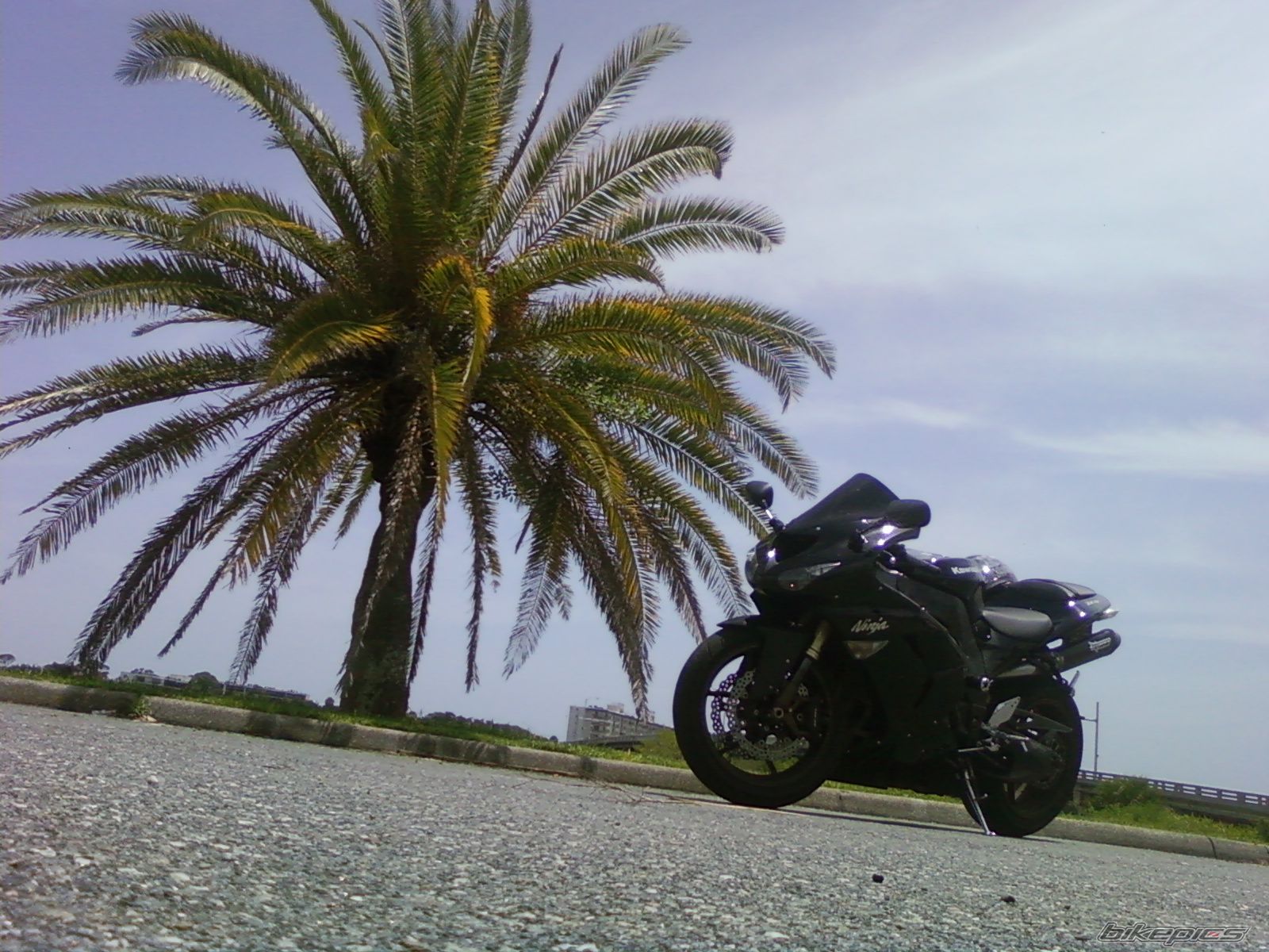 2006 KAWASAKI ZX 10R | Picture 1771177 motorcycle photo