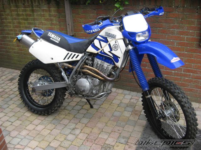 2010 YAMAHA TTR 350 | Picture 1771532 motorcycle photo