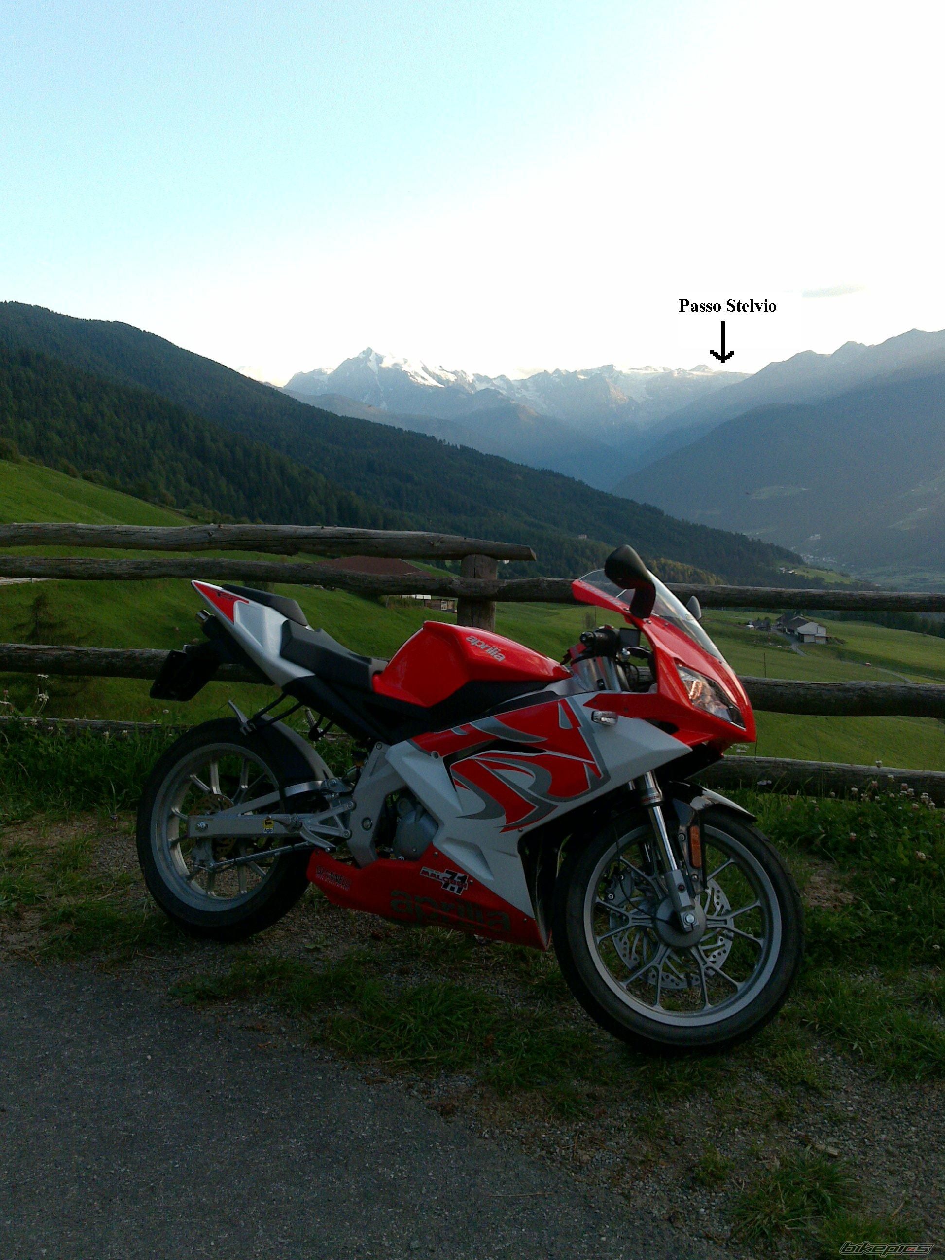2010 APRILIA RS 50 | Picture 1771552 motorcycle photo