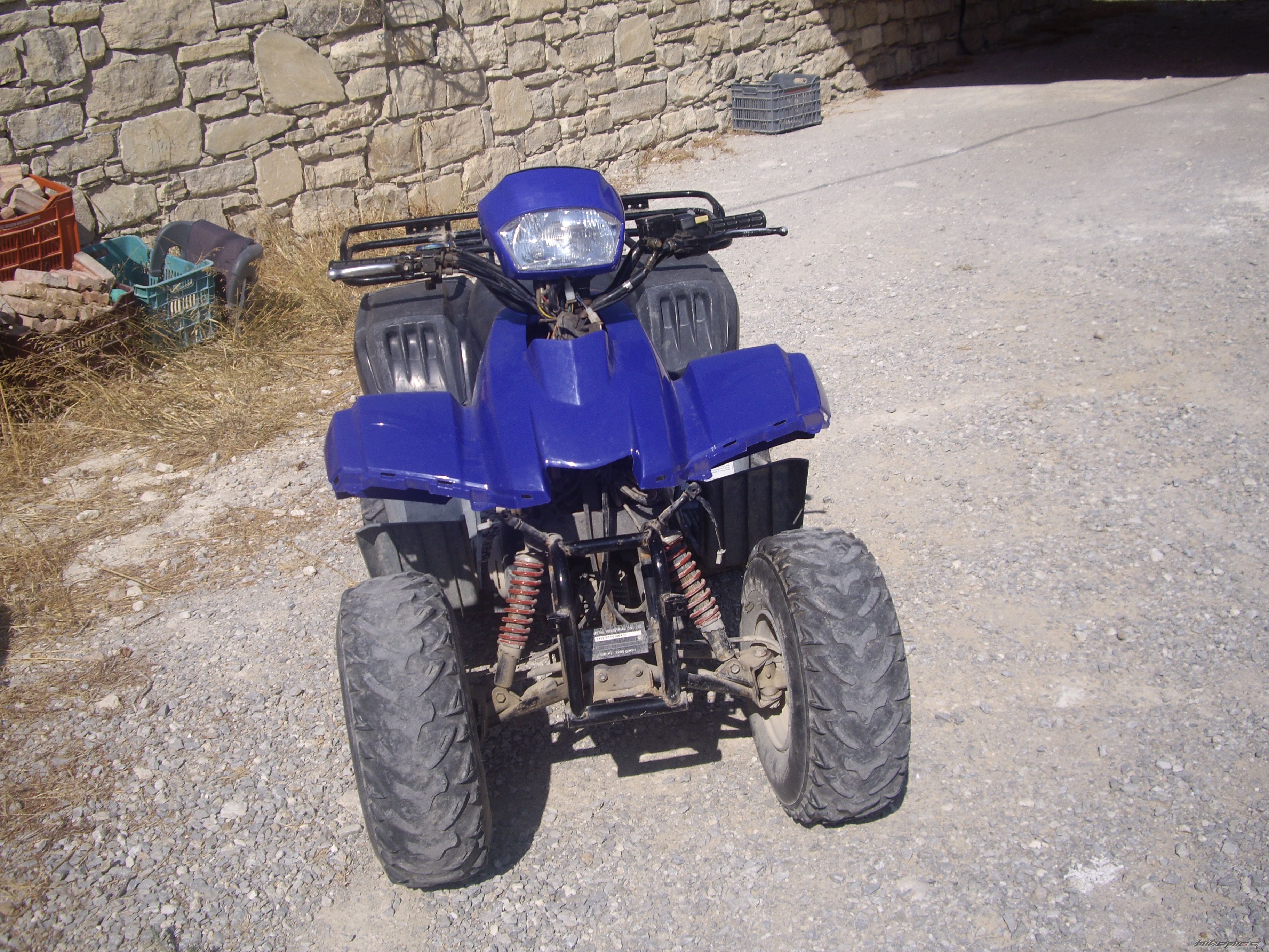    | Picture 1772007 motorcycle photo