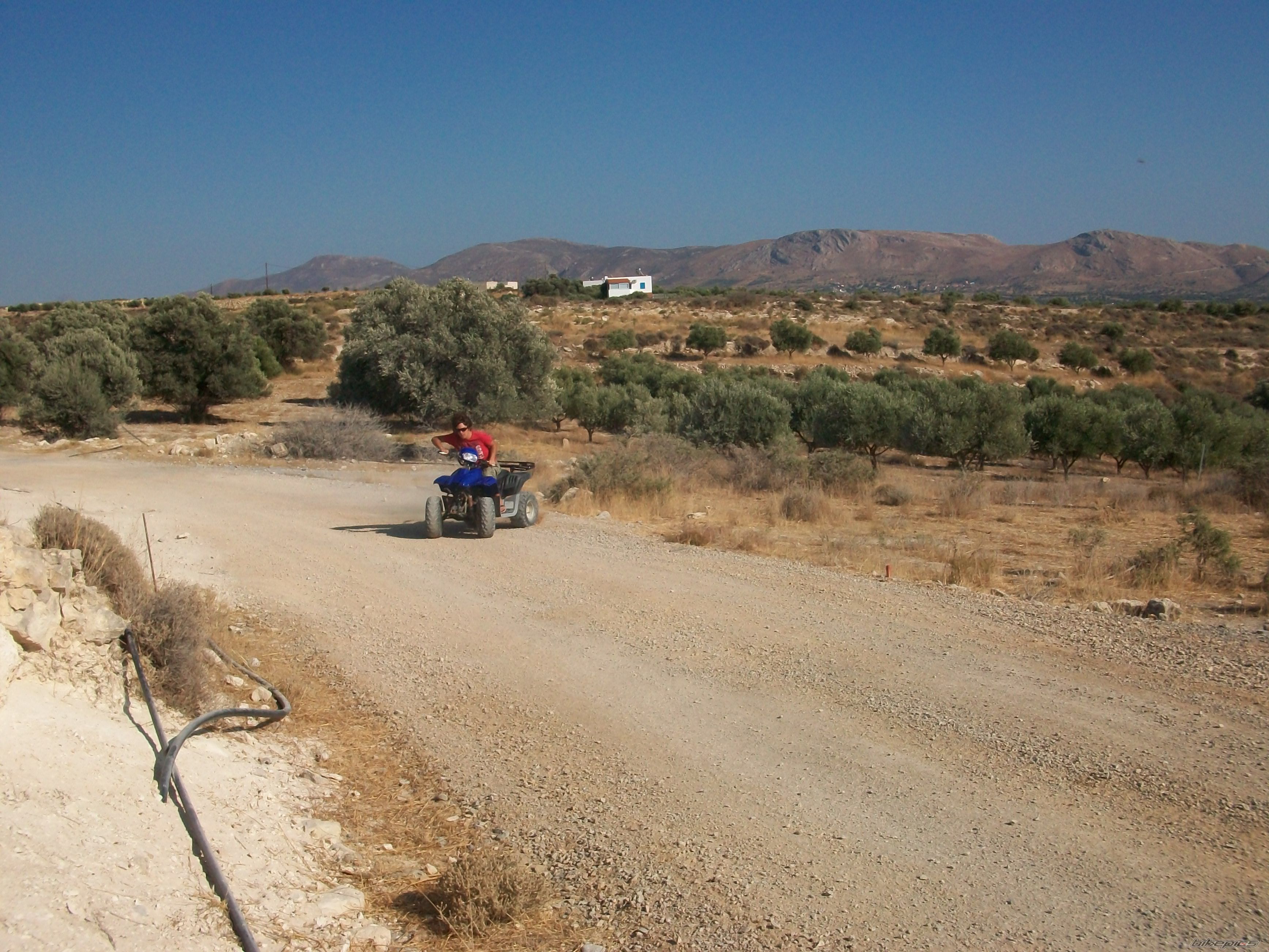    | Picture 1772019 motorcycle photo