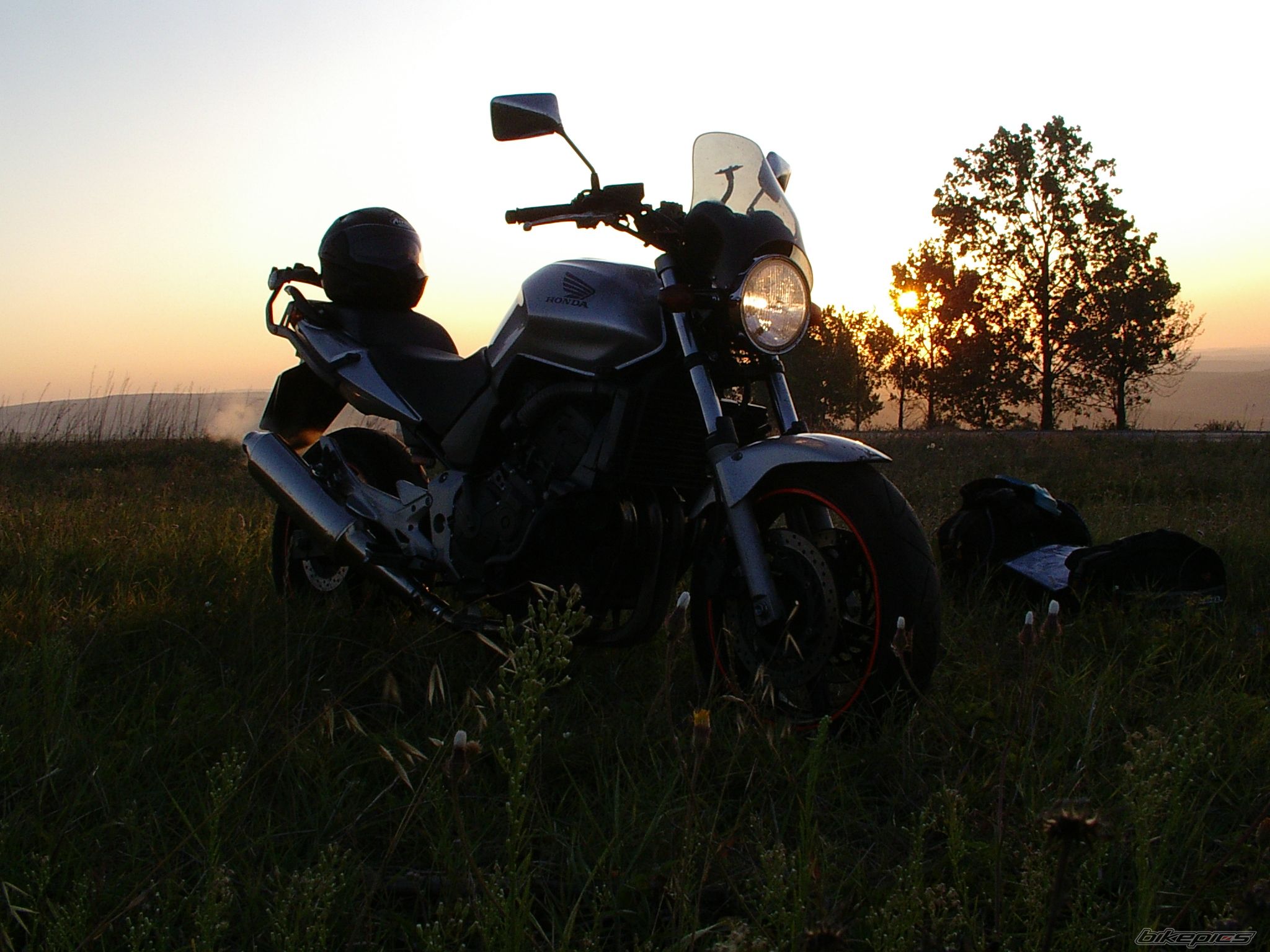 2004 HONDA CBF 600 | Picture 1772379 motorcycle photo
