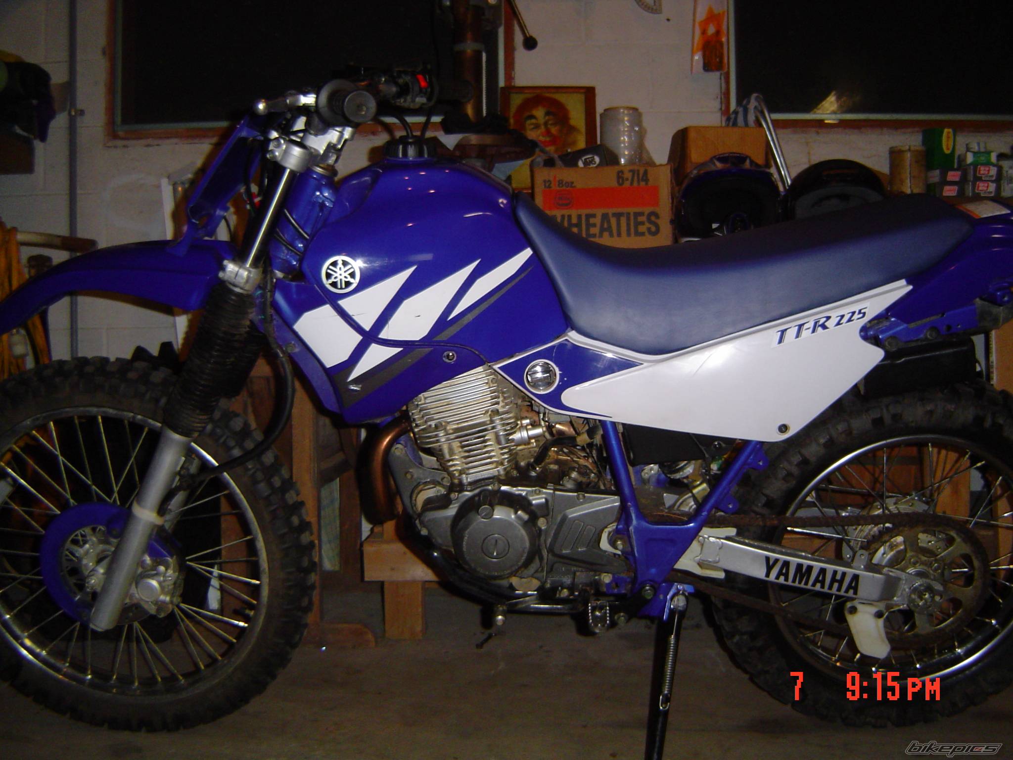 2003 YAMAHA TTR 225 | Picture 177247 motorcycle photo