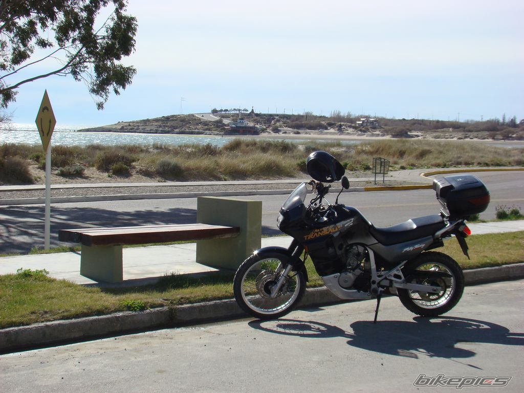 1998 HONDA TRANSALP RALLY TOURING | Picture 1772940 motorcycle photo