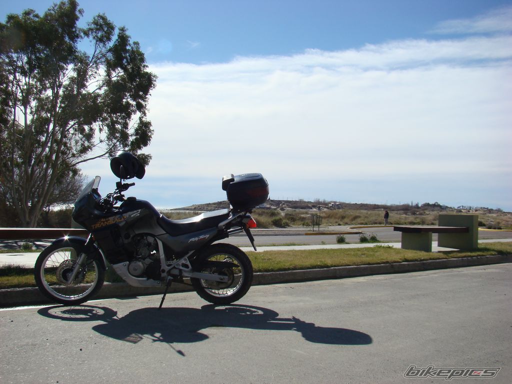 1998 HONDA TRANSALP RALLY TOURING | Picture 1772941 motorcycle photo