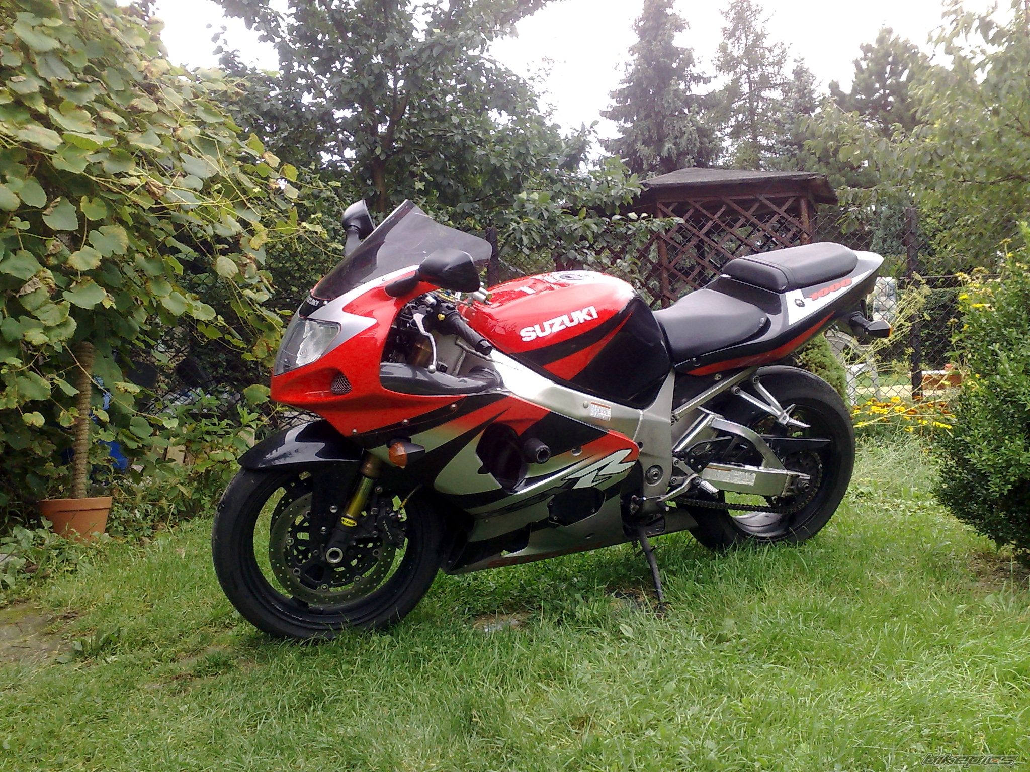 2001 SUZUKI GSX R 1000 | Picture 1773079 motorcycle photo