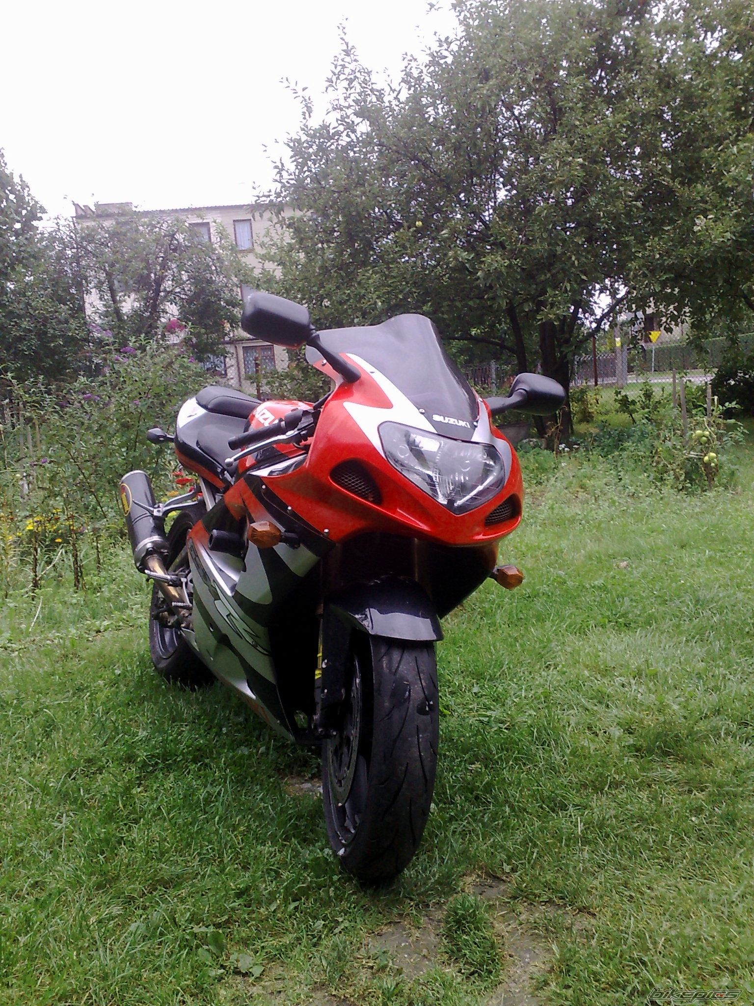 2001 SUZUKI GSX R 1000 | Picture 1773080 motorcycle photo