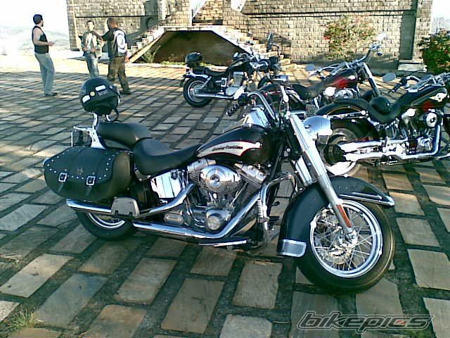 2006 HARLEY DAVIDSON FLSTC | Picture 1773228 motorcycle photo