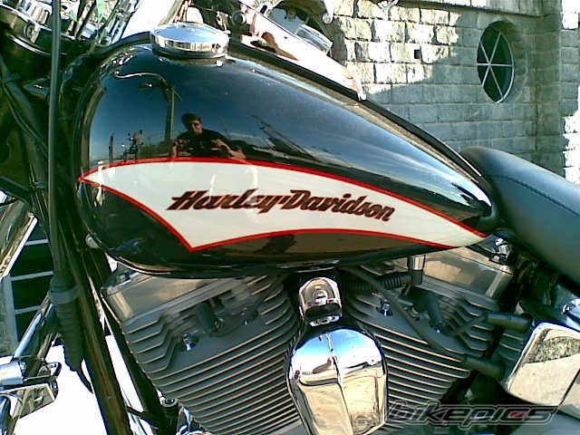 2006 HARLEY DAVIDSON FLSTC | Picture 1773231 motorcycle photo