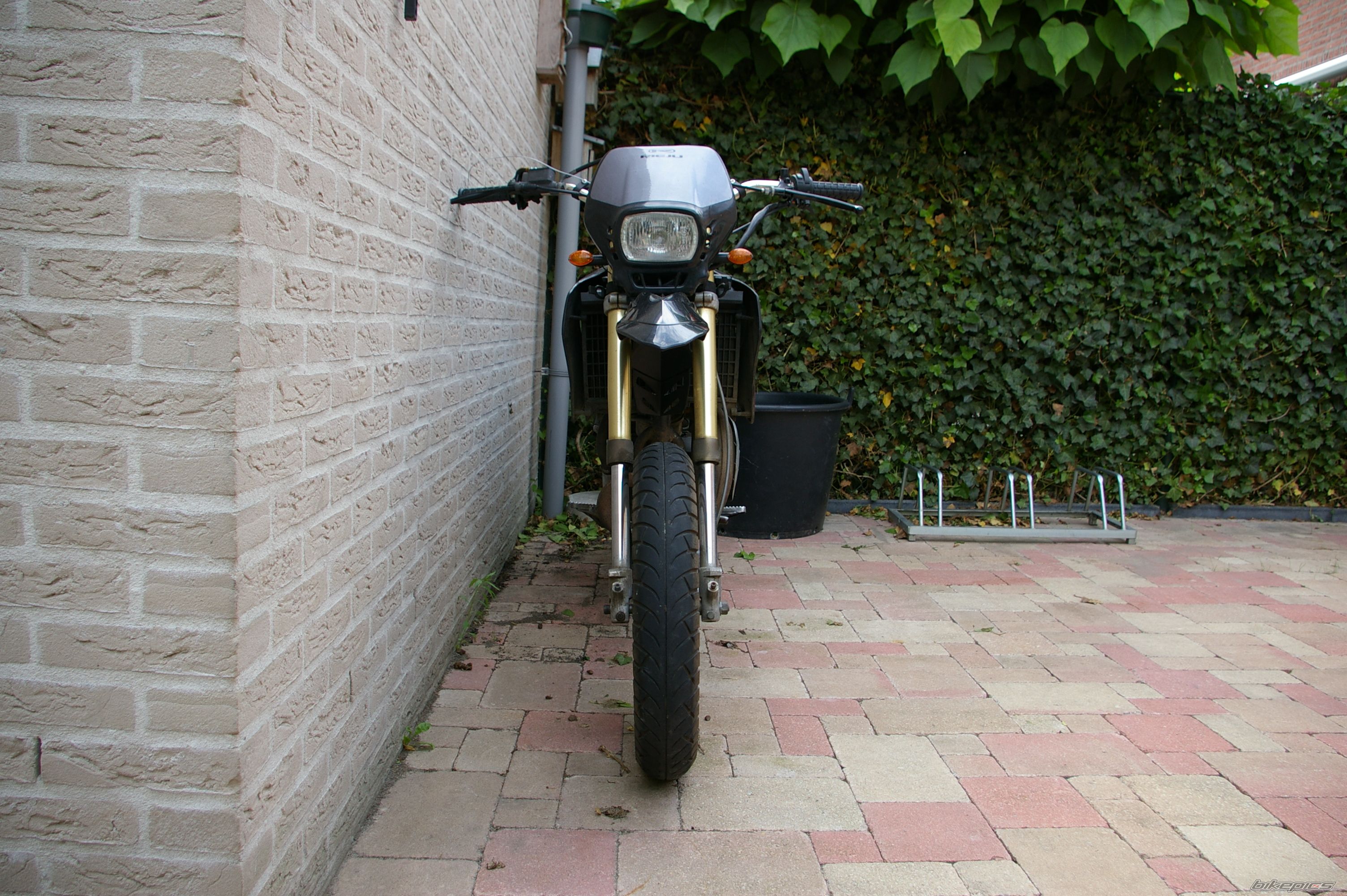 2004 RIEJU RR 50 | Picture 1773514 motorcycle photo