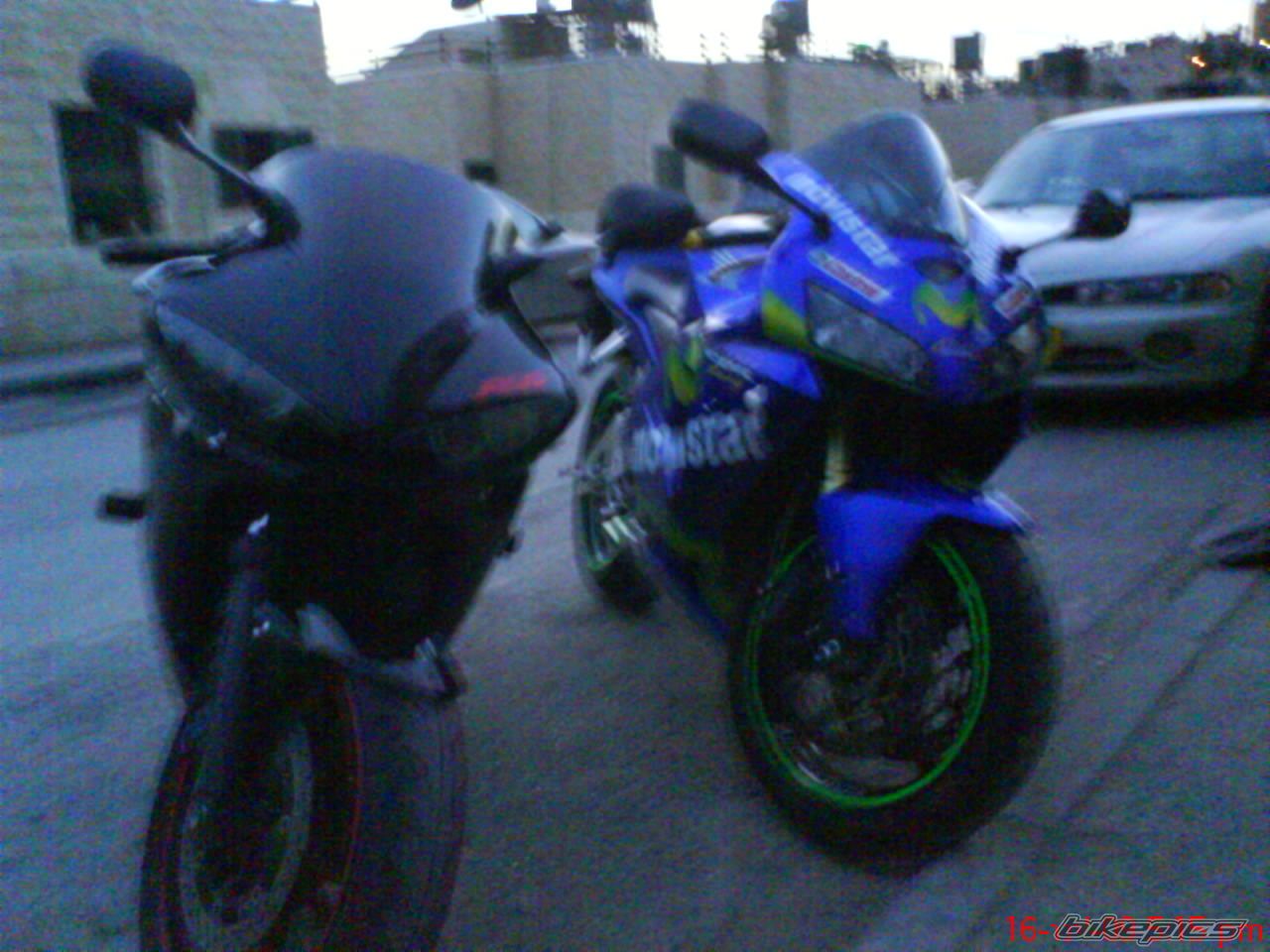 2003 HONDA CBR 600 RR | Picture 1774073 motorcycle photo