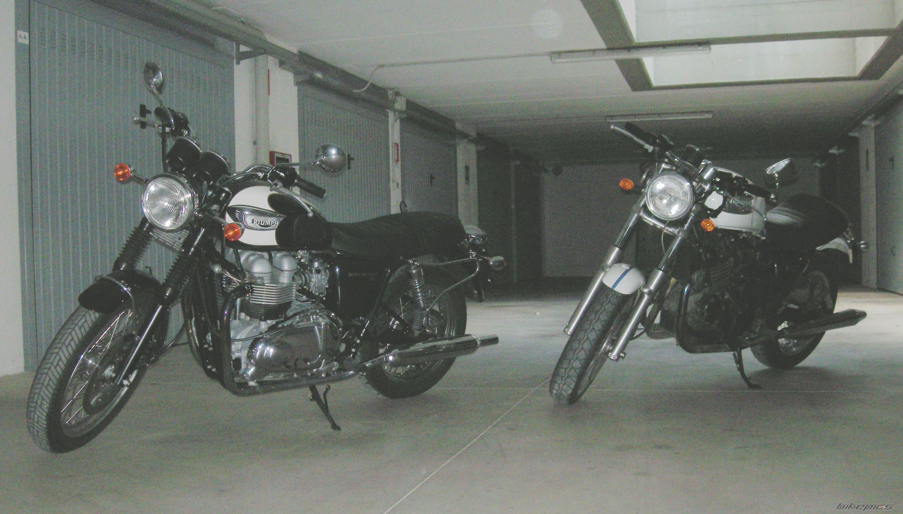 2006 TRIUMPH BONNEVILLE T100 | Picture 1774387 motorcycle photo