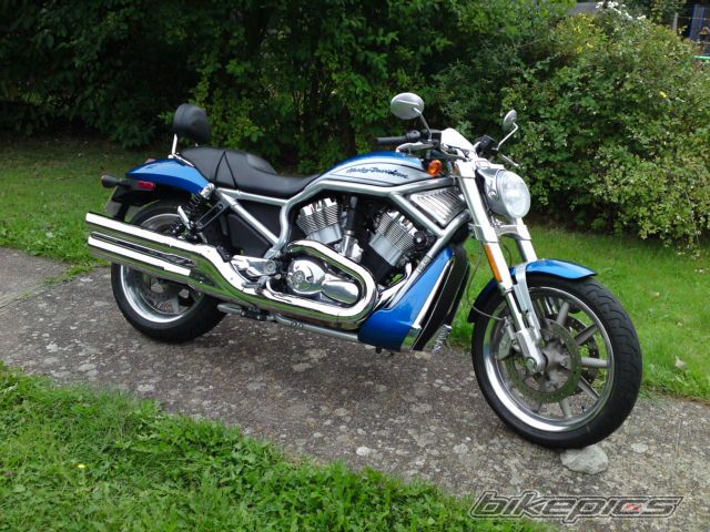 2006 HARLEY DAVIDSON VRSCR STREET ROD | Picture 1774582 motorcycle photo
