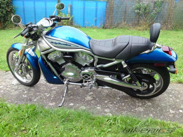 2006 HARLEY DAVIDSON VRSCR STREET ROD | Picture 1774584 motorcycle photo