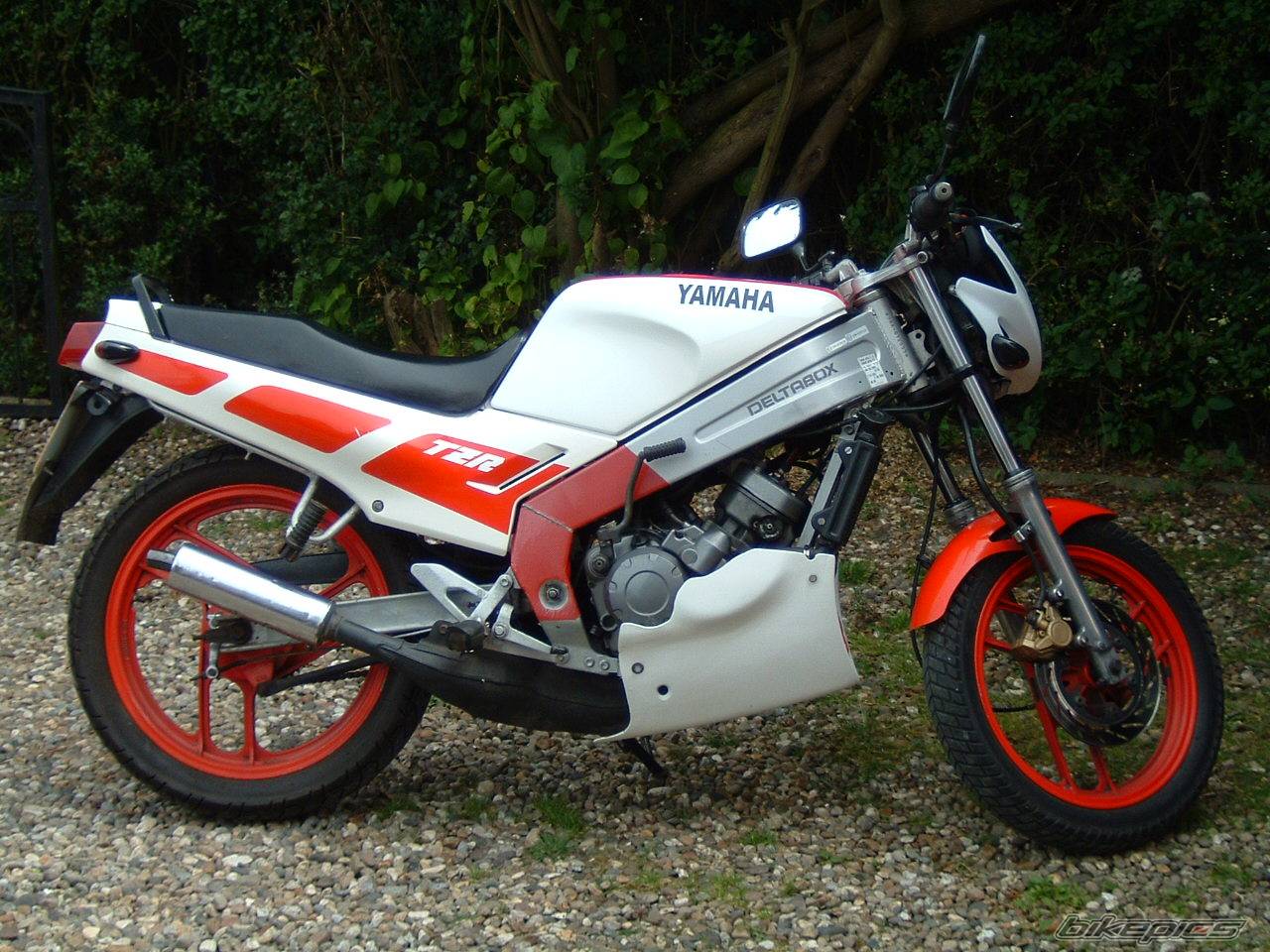 1990 YAMAHA TZR 125 | Picture 177523 motorcycle photo