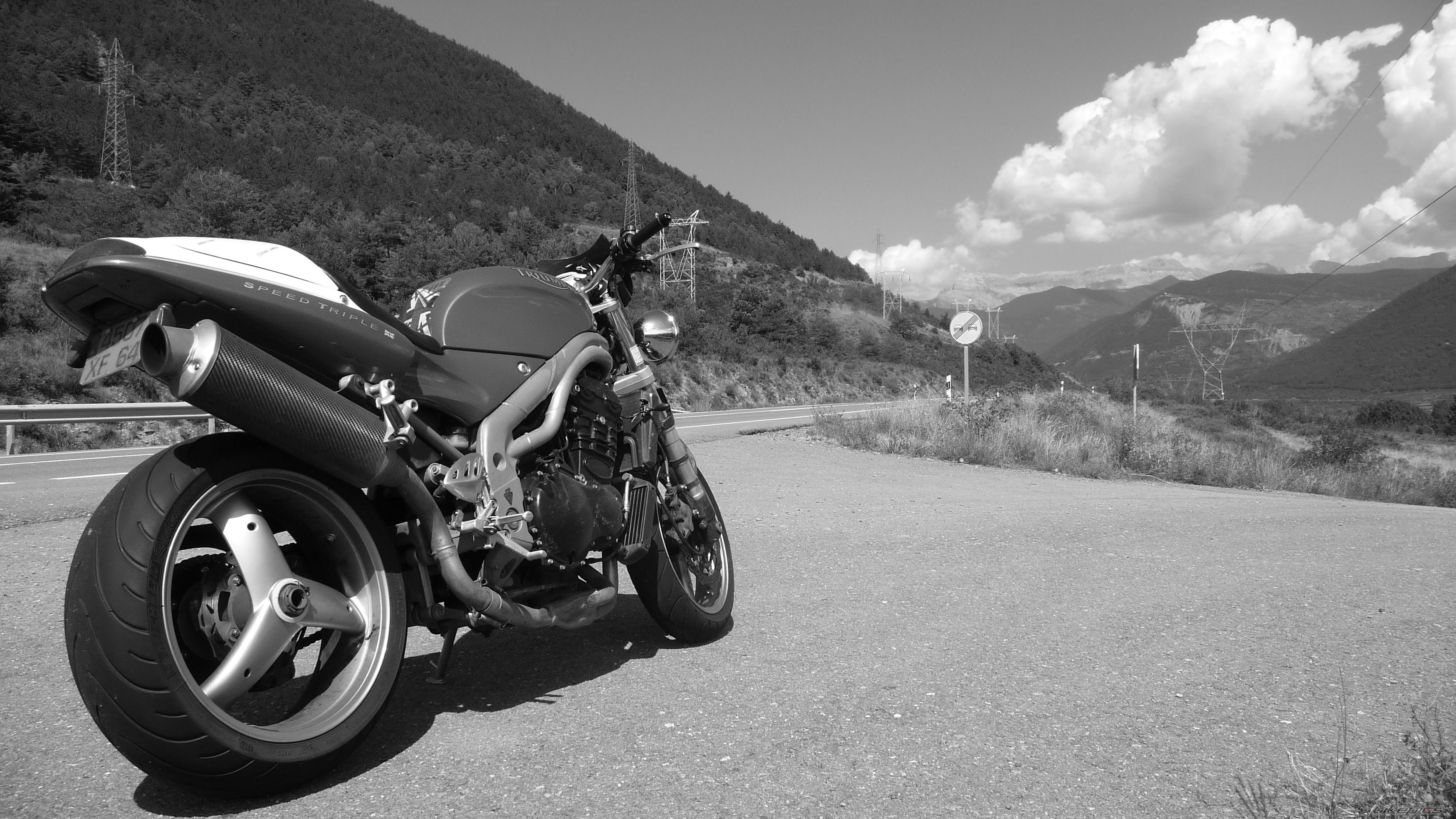 2001 TRIUMPH SPEED TRIPLE | Picture 1775583 motorcycle photo