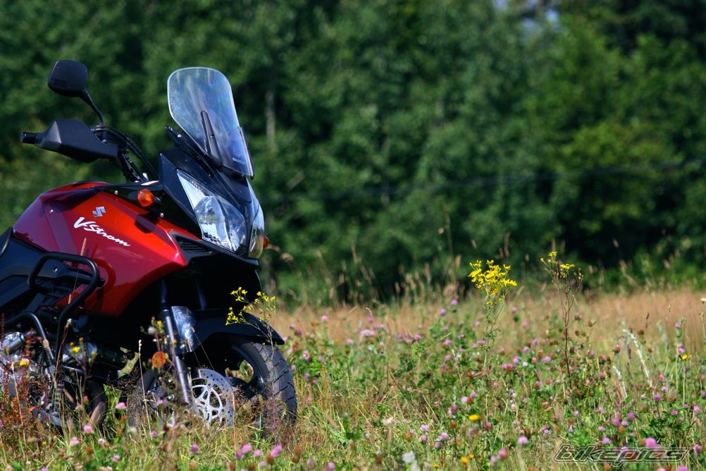 2006 SUZUKI DL 1000 | Picture 1775714 motorcycle photo