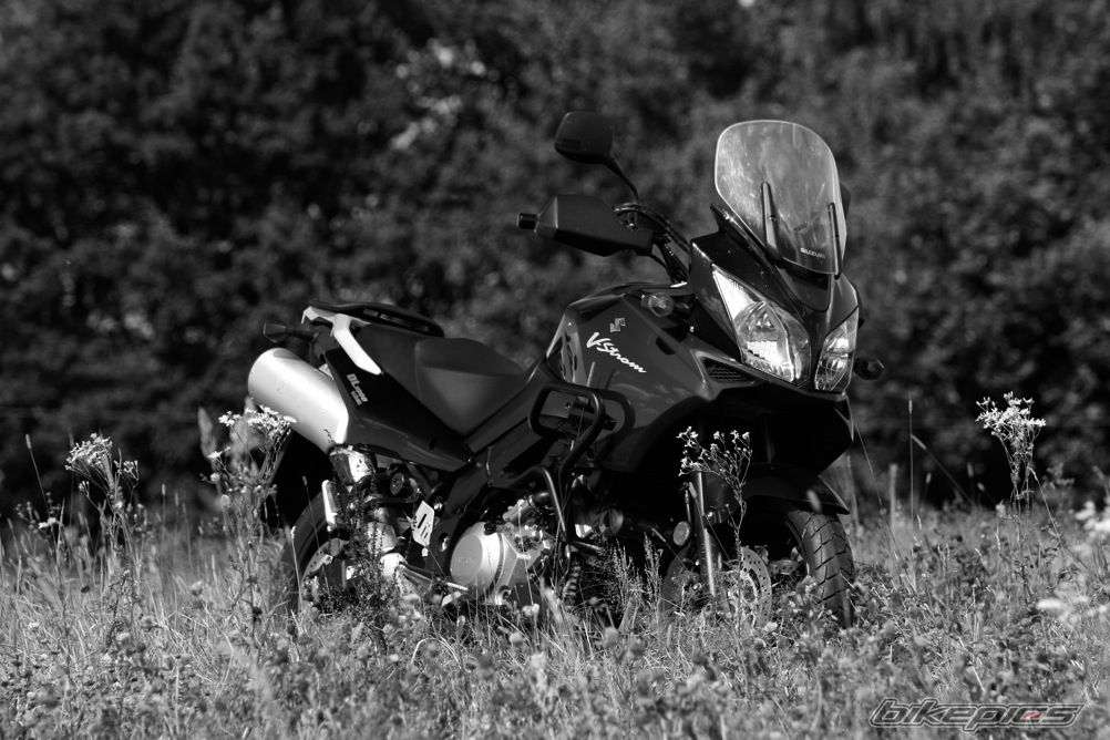 2006 SUZUKI DL 1000 | Picture 1775715 motorcycle photo