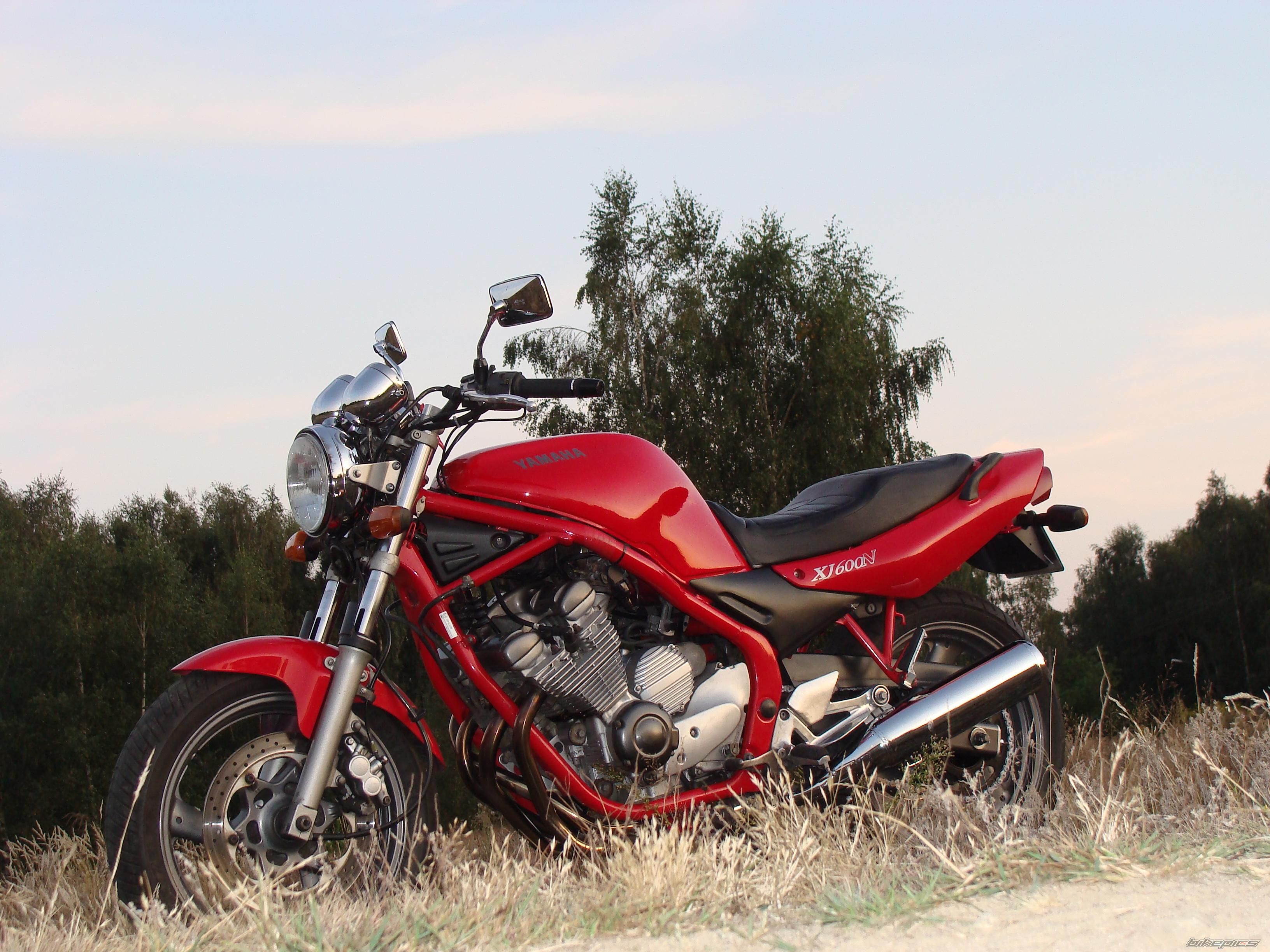 1997 YAMAHA XJ 600 | Picture 1775751 motorcycle photo