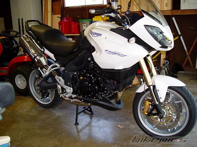 2008 TRIUMPH TIGER | Picture 1775982 motorcycle photo