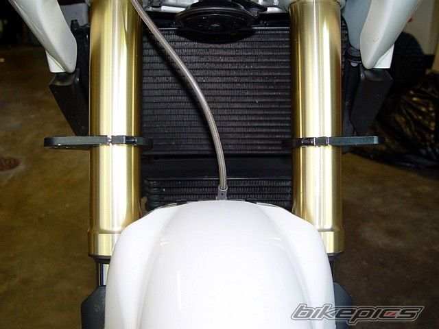2008 TRIUMPH TIGER | Picture 1775985 motorcycle photo