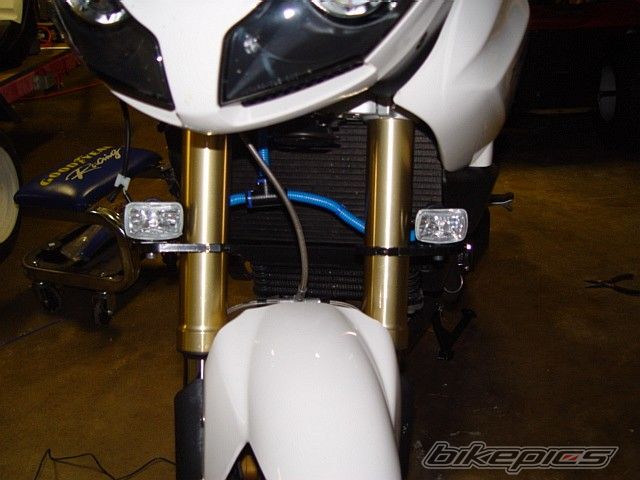 2008 TRIUMPH TIGER | Picture 1775989 motorcycle photo
